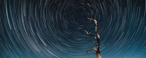 Preview wallpaper tree, starry sky, long exposure, stars, movement, kaleidoscope