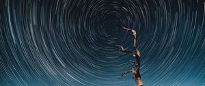 Preview wallpaper tree, starry sky, long exposure, stars, movement, kaleidoscope