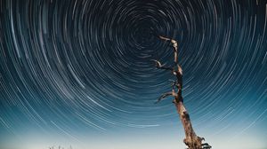 Preview wallpaper tree, starry sky, long exposure, stars, movement, kaleidoscope