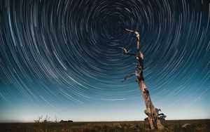 Preview wallpaper tree, starry sky, long exposure, stars, movement, kaleidoscope