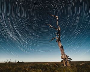 Preview wallpaper tree, starry sky, long exposure, stars, movement, kaleidoscope