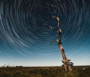 Preview wallpaper tree, starry sky, long exposure, stars, movement, kaleidoscope