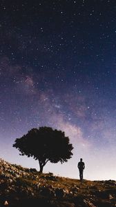 Preview wallpaper tree, starry sky, night, silhouette