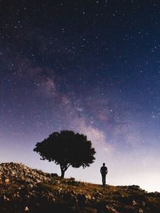 Preview wallpaper tree, starry sky, night, silhouette