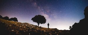Preview wallpaper tree, starry sky, night, silhouette