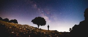 Preview wallpaper tree, starry sky, night, silhouette