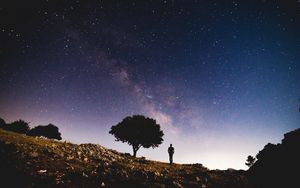 Preview wallpaper tree, starry sky, night, silhouette