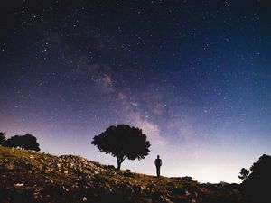 Preview wallpaper tree, starry sky, night, silhouette