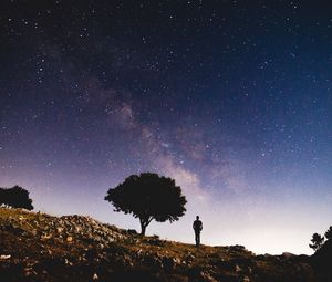 Preview wallpaper tree, starry sky, night, silhouette