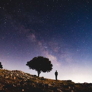 Preview wallpaper tree, starry sky, night, silhouette