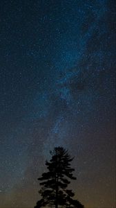 Preview wallpaper tree, starry sky, night, dark, darkness