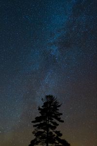 Preview wallpaper tree, starry sky, night, dark, darkness