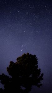 Preview wallpaper tree, starry sky, night, dark