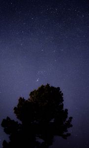Preview wallpaper tree, starry sky, night, dark