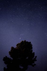 Preview wallpaper tree, starry sky, night, dark