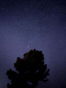 Preview wallpaper tree, starry sky, night, dark