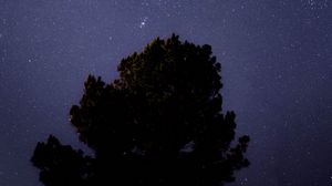 Preview wallpaper tree, starry sky, night, dark