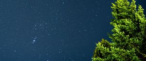 Preview wallpaper tree, starry sky, stars, night, branches, leaves, green