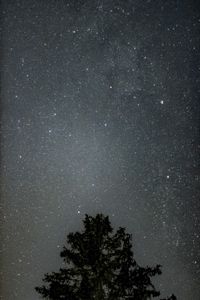 Preview wallpaper tree, starry sky, stars, night, silhouette