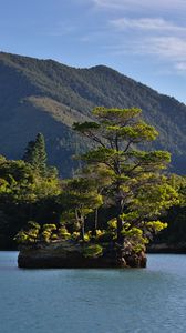 Preview wallpaper tree, stone, island, mountains, sea