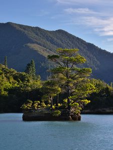 Preview wallpaper tree, stone, island, mountains, sea