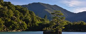 Preview wallpaper tree, stone, island, mountains, sea