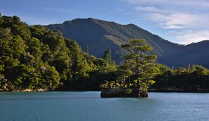 Preview wallpaper tree, stone, island, mountains, sea