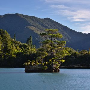 Preview wallpaper tree, stone, island, mountains, sea