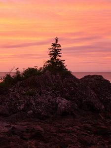 Preview wallpaper tree, stone, sunset, nature
