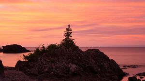 Preview wallpaper tree, stone, sunset, nature