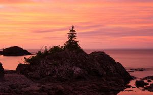 Preview wallpaper tree, stone, sunset, nature