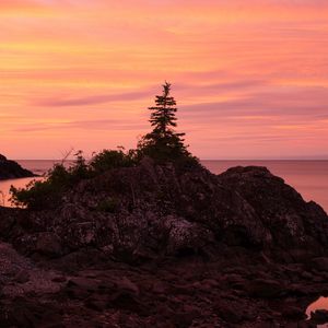 Preview wallpaper tree, stone, sunset, nature