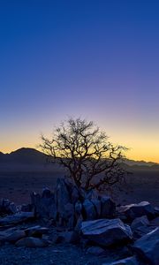 Preview wallpaper tree, stones, desert, sunrise