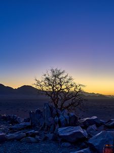 Preview wallpaper tree, stones, desert, sunrise