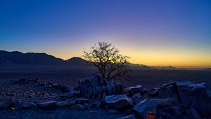 Preview wallpaper tree, stones, desert, sunrise