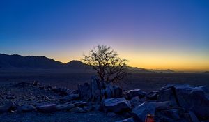 Preview wallpaper tree, stones, desert, sunrise