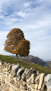 Preview wallpaper tree, stones, hills, landscape