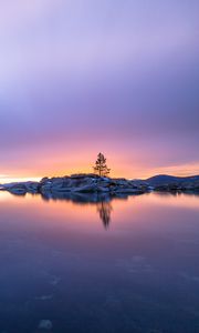 Preview wallpaper tree, stones, island, lake, nature