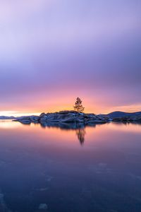 Preview wallpaper tree, stones, island, lake, nature