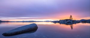 Preview wallpaper tree, stones, island, lake, nature