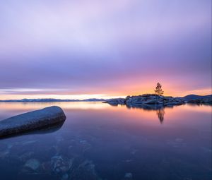 Preview wallpaper tree, stones, island, lake, nature