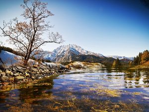 Preview wallpaper tree, stones, lake, spring, water, transparent, bushes, vegetation, bottom, sky, freshness, blue, tops