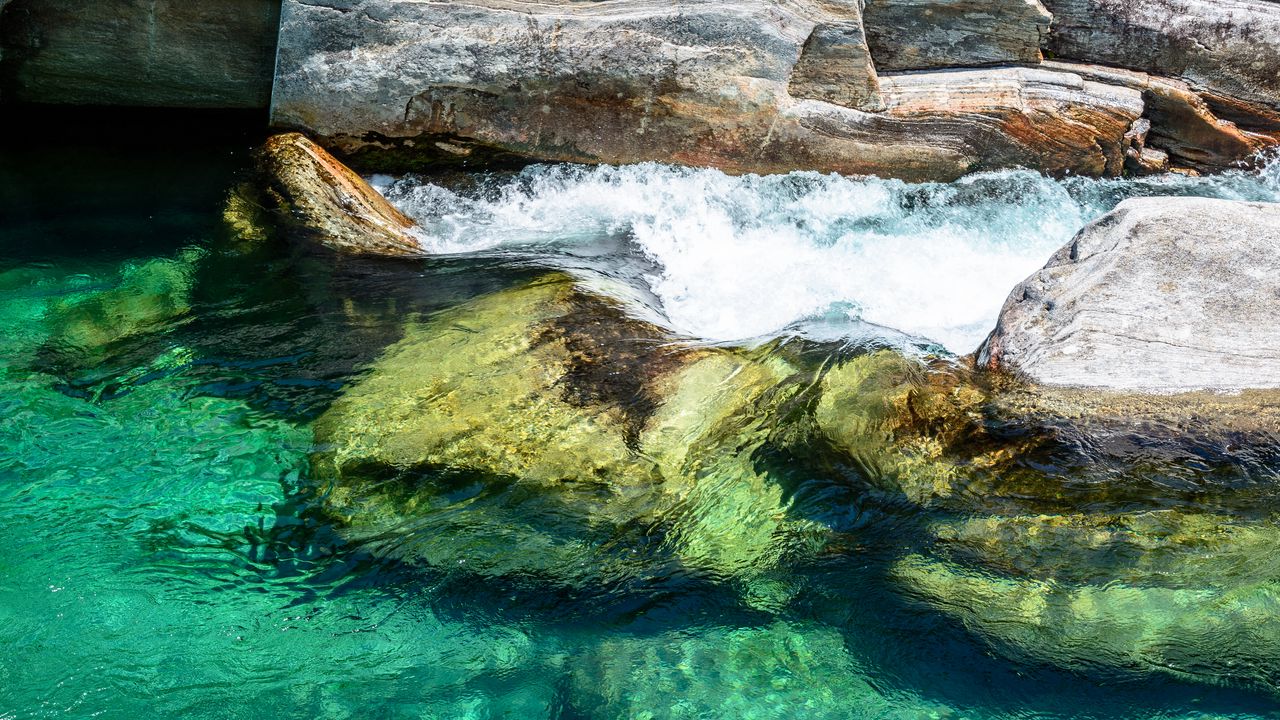 Wallpaper tree, stones, river, nature