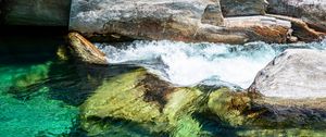Preview wallpaper tree, stones, river, nature