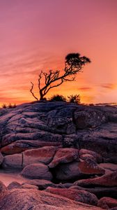 Preview wallpaper tree, stones, rocks, sunset, nature