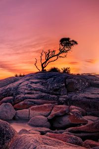 Preview wallpaper tree, stones, rocks, sunset, nature