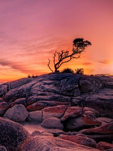 Preview wallpaper tree, stones, rocks, sunset, nature
