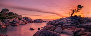 Preview wallpaper tree, stones, rocks, sunset, nature