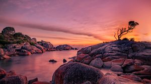 Preview wallpaper tree, stones, rocks, sunset, nature