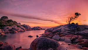 Preview wallpaper tree, stones, rocks, sunset, nature
